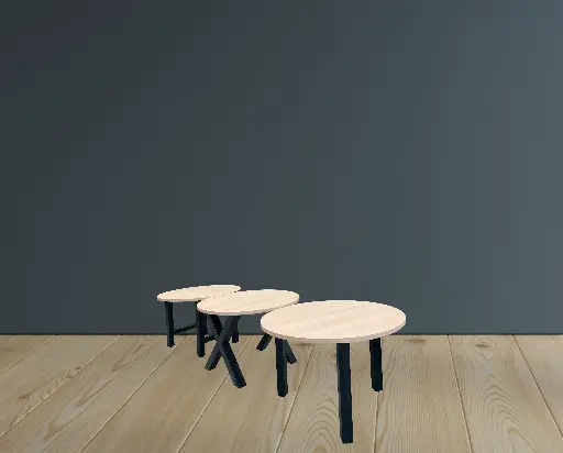 MESA REDONDA
